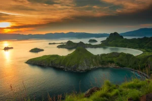 One Day Tour Komodo Island