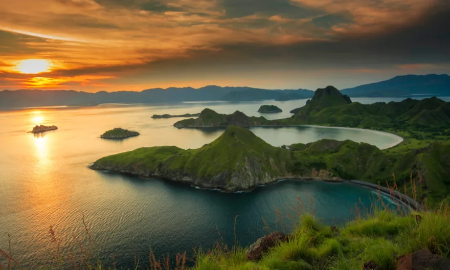 One Day Tour Komodo Island