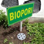 Cara Merawat Biopori agar Fungsinya Tetap Optimal