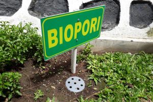 Cara Merawat Biopori agar Fungsinya Tetap Optimal