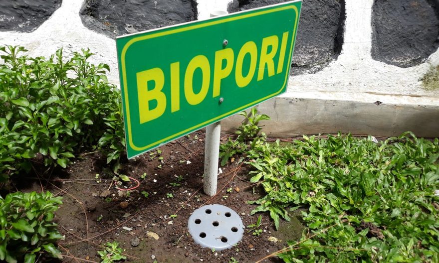 Cara Merawat Biopori agar Fungsinya Tetap Optimal