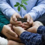 Peran Strategis DLH dalam Menjaga Keseimbangan Lingkungan Daerah