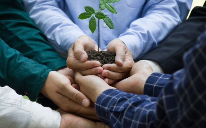 Peran Strategis DLH dalam Menjaga Keseimbangan Lingkungan Daerah